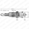 DELPHI HDS319 Glow Plug